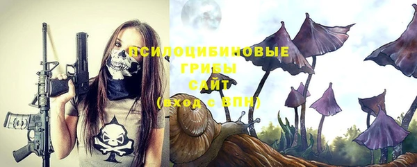 бутират Баксан