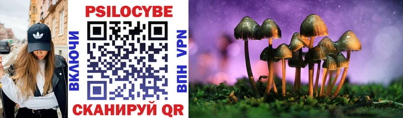 Галлюциногенные грибы MAGIC MUSHROOMS  Ногинск 